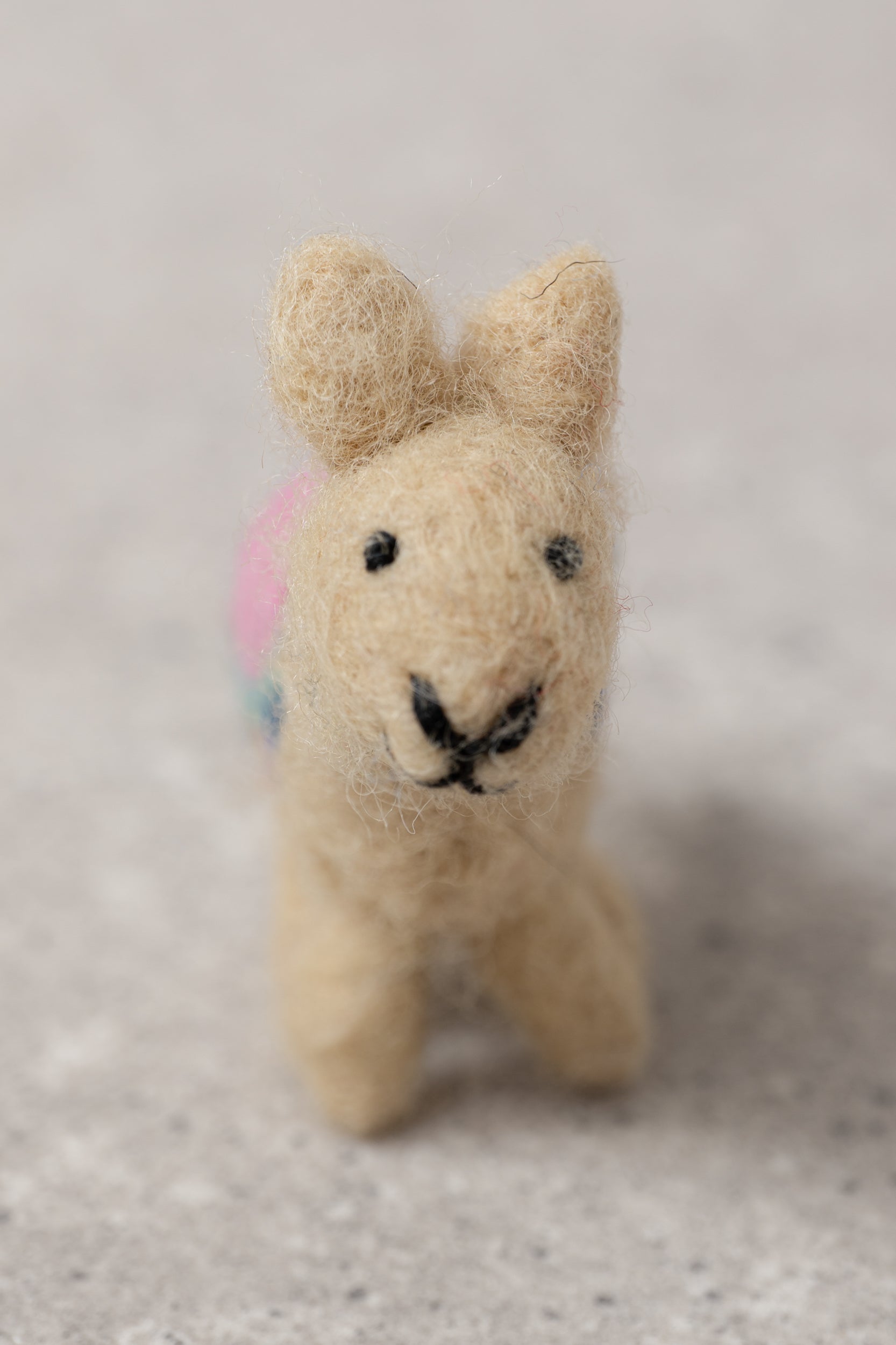 Lily and Me Laughing Llama Gift Box-Gift Box-White finn
