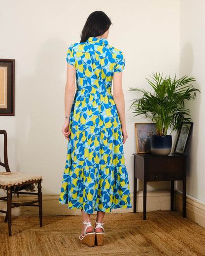 Pretty Vacant Molly Dress in Apple Blossom Print-White finn