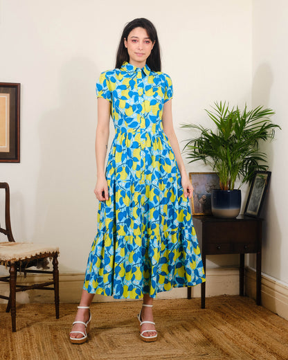 Pretty Vacant Molly Dress in Apple Blossom Print-White finn