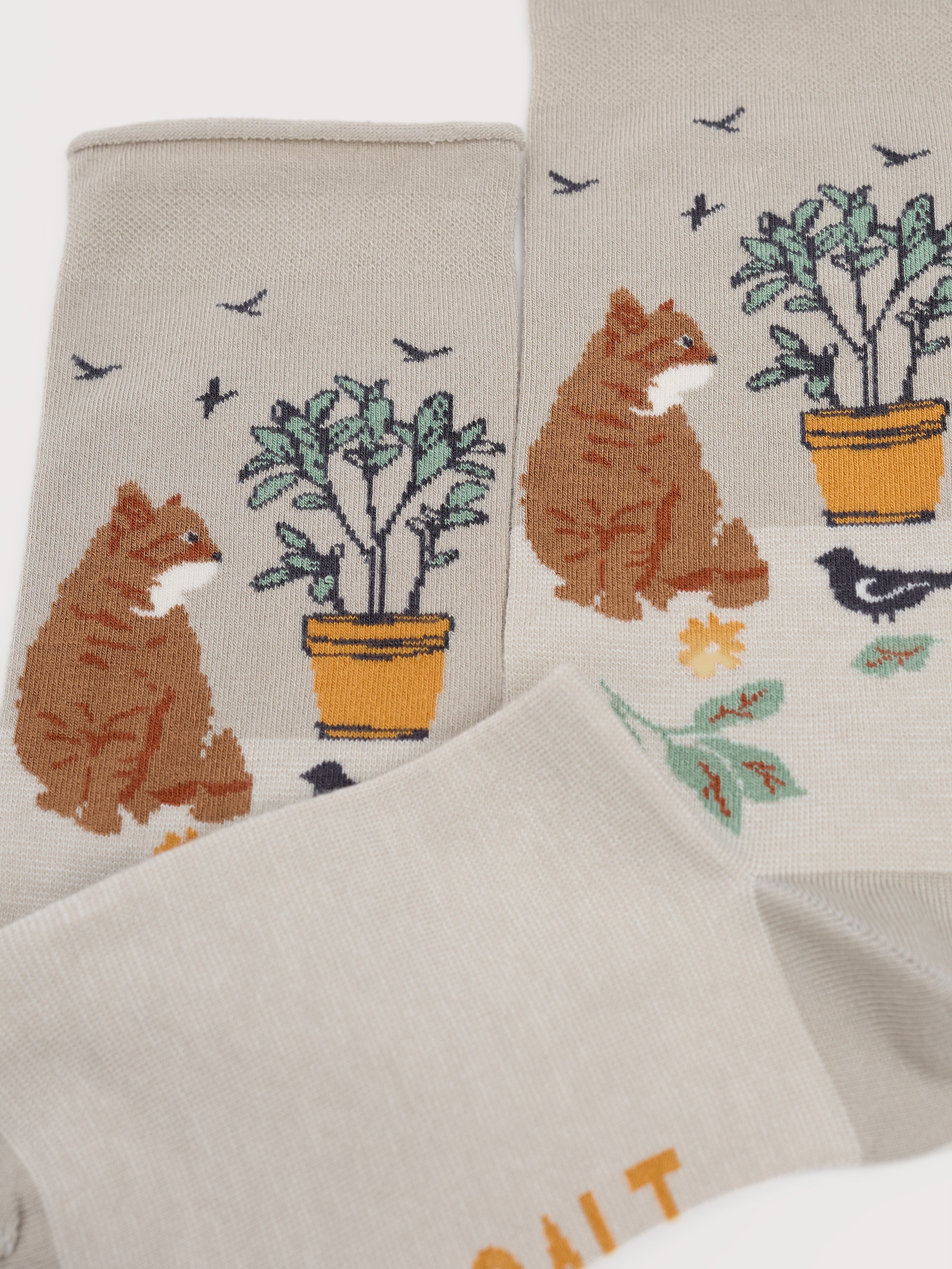 Seasalt Women's Bamboo Arty Socks SS26-Seasalt-White finn