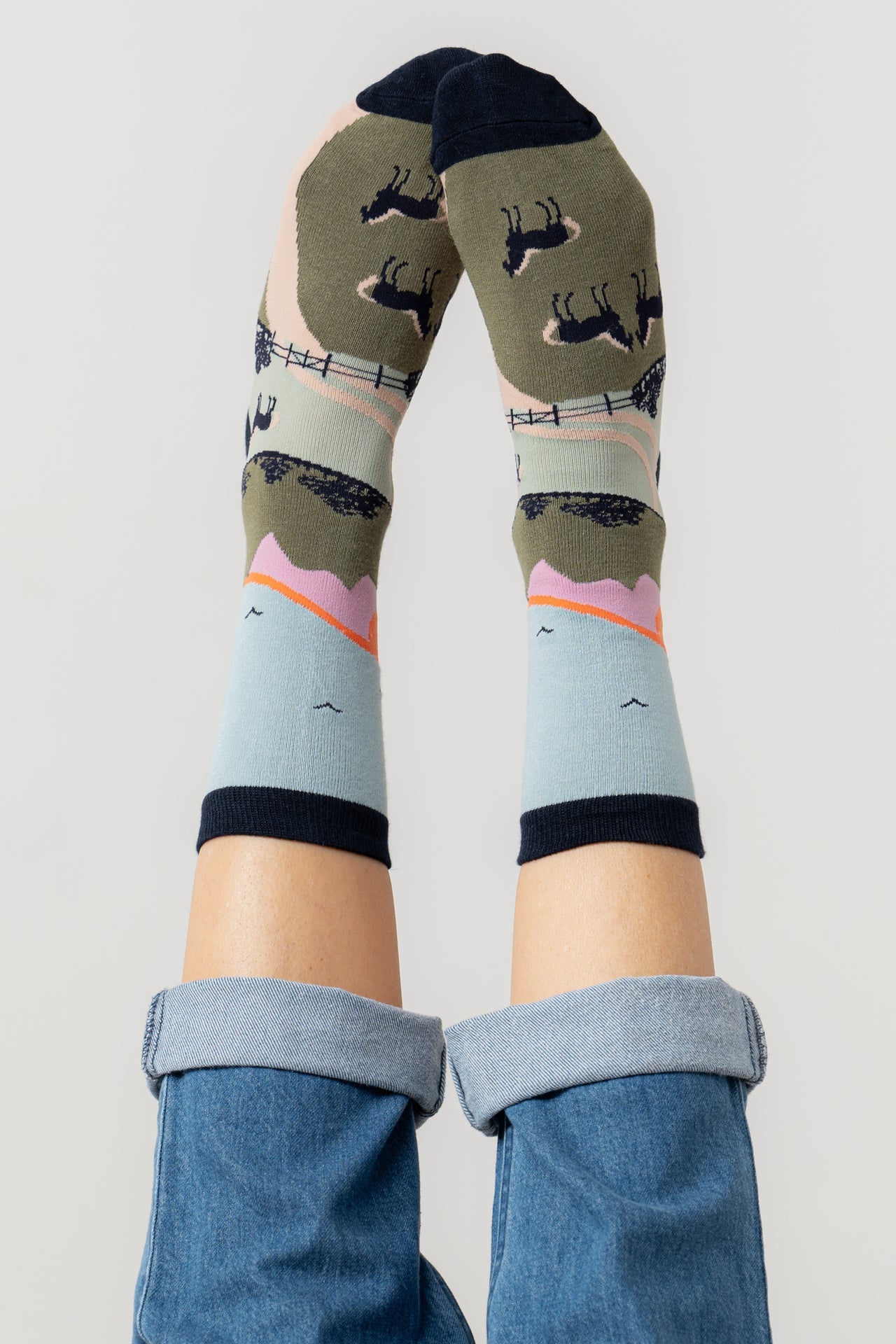 Lily and Me Derek The Dog Bamboo Socks And Decoration Giftbox