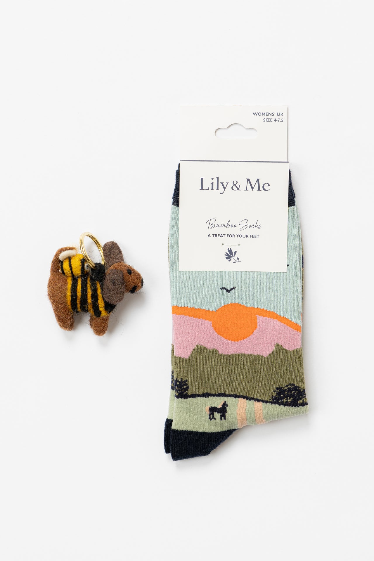 Lily and Me Derek The Dog Bamboo Socks And Decoration Giftbox