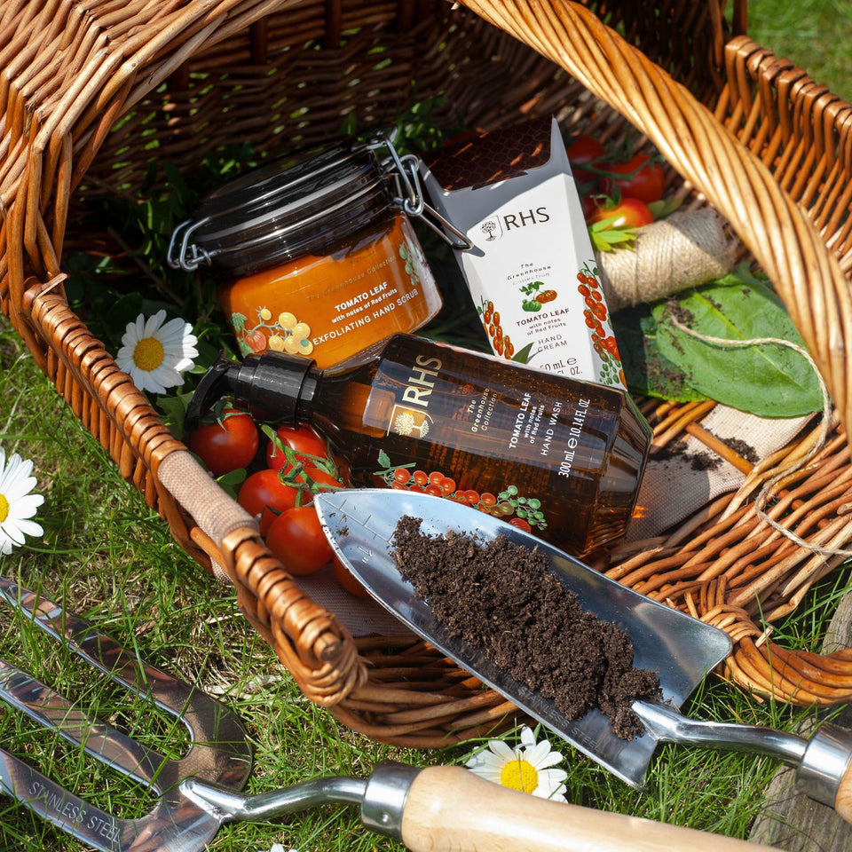 RHS Hand Care Collection Tomato Leaf-Gift set-