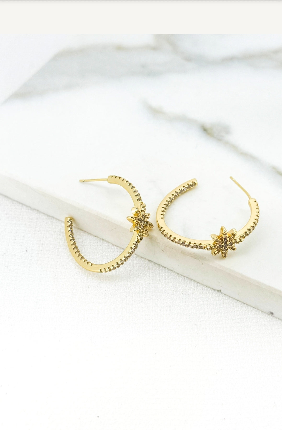 Envy Earrings 4632
