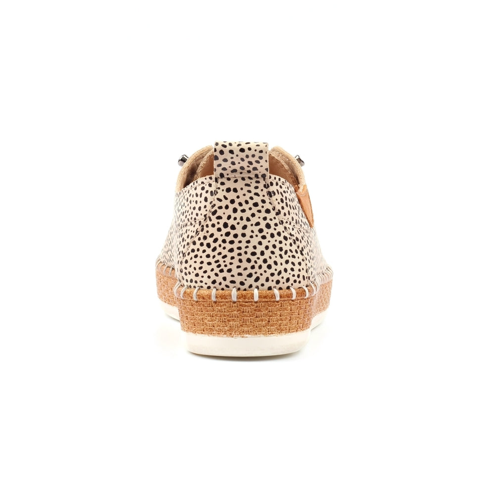 Lunar Evette Animal Spot Leather Plimsoll-Lunar-White finn
