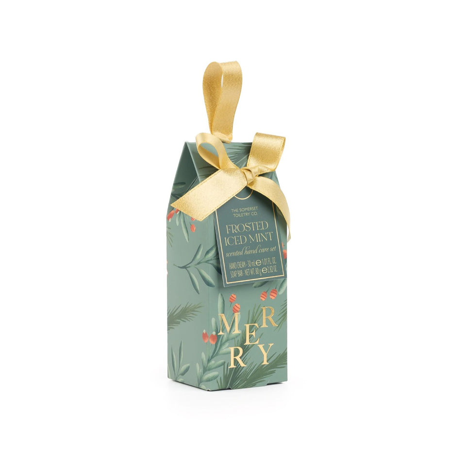 Frosted Iced Mint Hand Care Set