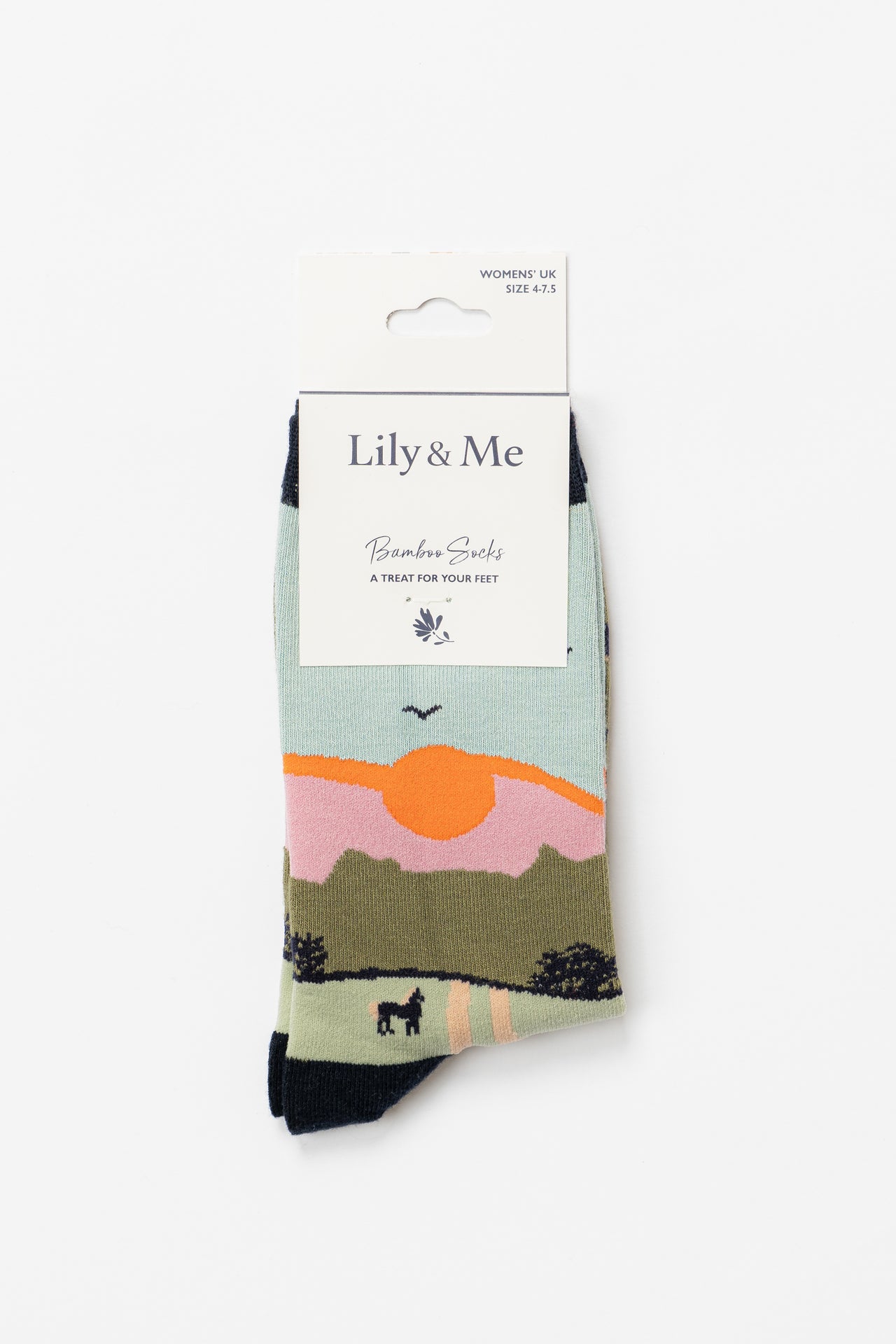 Lily and Me Derek The Dog Bamboo Socks And Decoration Giftbox