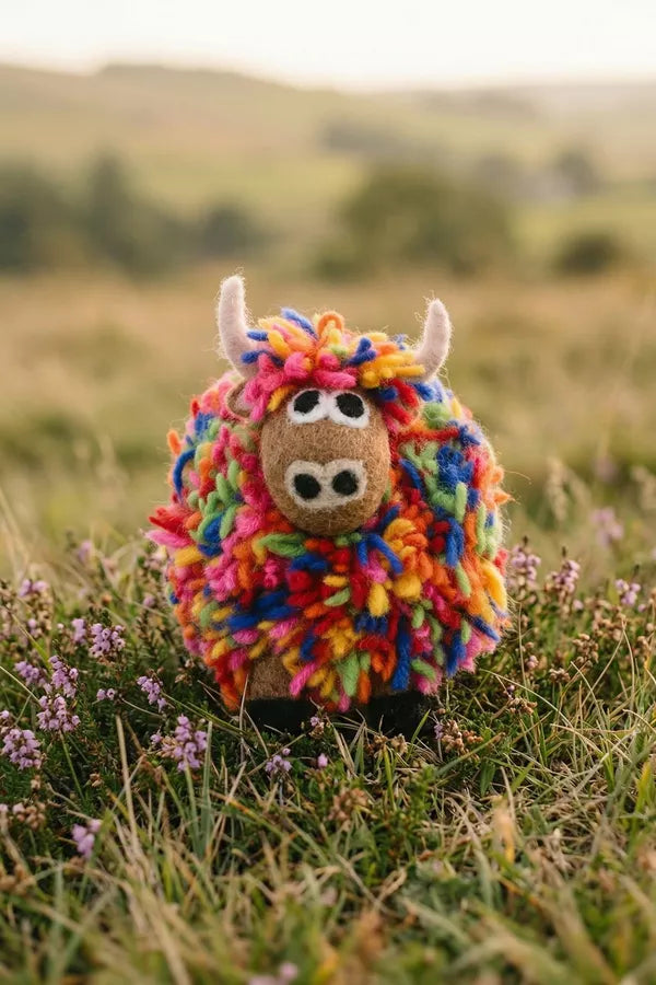 Pachamama Archie The Highland Cow In Colour