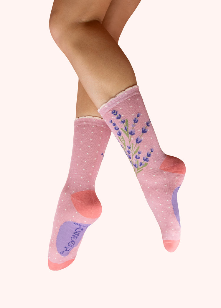 Powder Ladies' Ankle Socks - Luscious Lavender in Pink-Powder-White finn