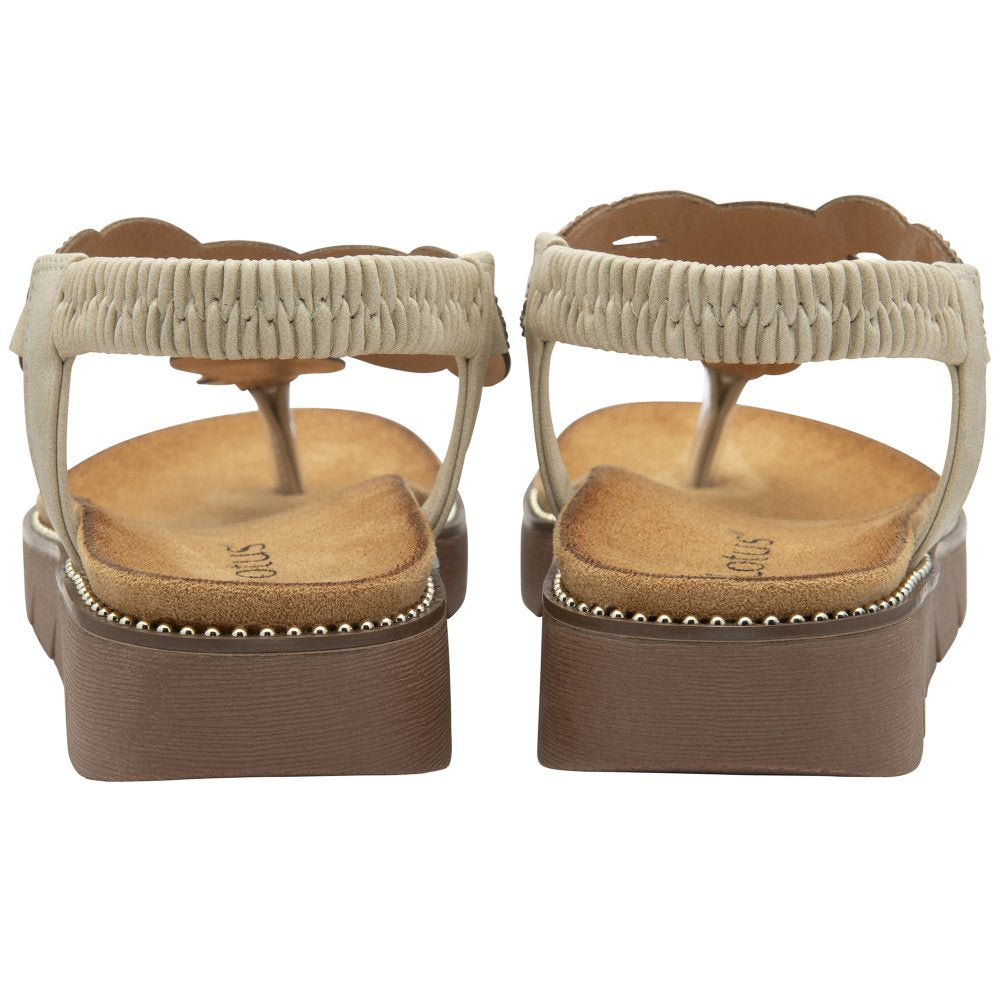 Lotus Black Alcina Toe-Post Sandals | Lotus