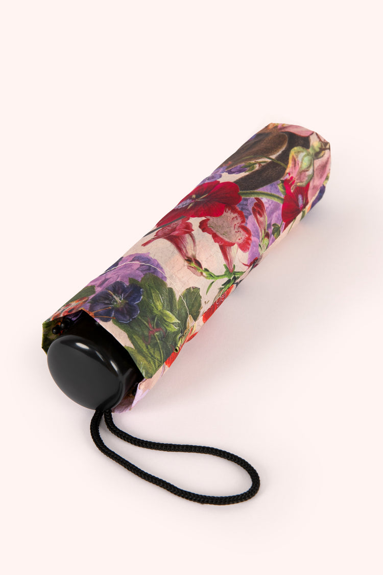 Powder Umbrella - Cream Posy-Powder-White finn